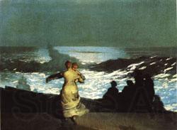 Winslow Homer A Summer Night